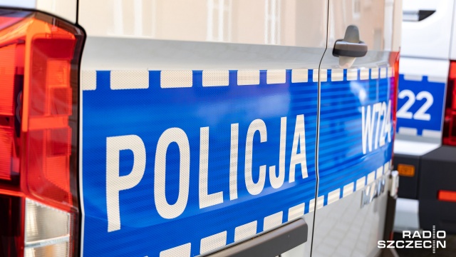 Na krajowej drodze 23 w Dębnie zderzyły się trzy auta: dwa osobowe i dostawczy.