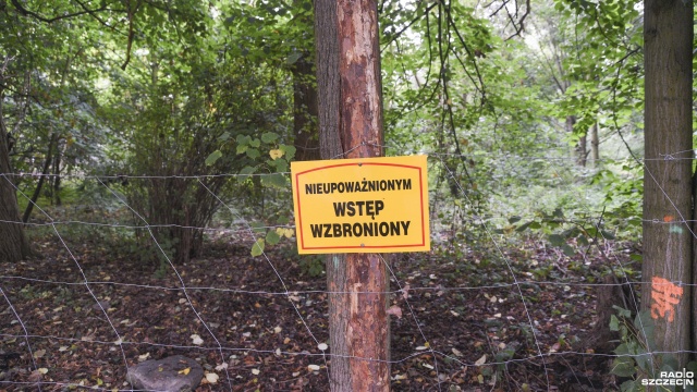 Gorąca, ponad 2-godzinna dyskusja radnych komisji budownictwa, mieszkańców, aktywistów w sprawie wycinki drzew pod budowę przedszkola na ulicy Przygodnej - efekt: strony zostały przy swoim zdaniu.