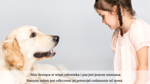 Superpsiak przybywa na ratunek Animowana postać ma uczyć dzieci jak powinien wyglądać bezpieczny kontakt z psem...