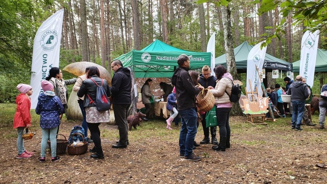Ponad 130 kg grzybów zebrano podczas Wielkiego Grzybobrania. Łącznie w sobotnich zawodach wzięło udział ponad 100 osób.