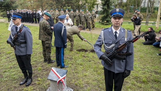Dwa kolejne dęby, upamiętniające ofiary zbrodni katyńskiej, posadzono we wtorek w Szczecinie. Rosnąć będą na terenie Zachodniopomorskiego Centrum Edukacji Morskiej i Politechnicznej przy ulicy Hożej.
