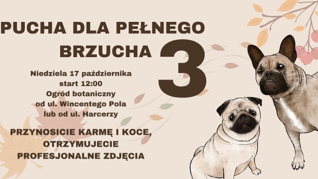 To okazja, aby pomóc potrzebującym zwierzętom i zyskać zdjęcie, na przykład ze swoim pupilem.