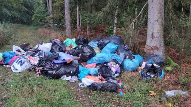 Kolejne nielegalne wysypisko śmieci w lesie. Kilkadziesiąt worków foliowych pełnych odpadów odnaleźli pracownicy z nadleśnictwa Dobrzany.