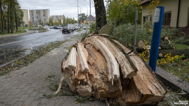 Silny porywisty wiatr, dochodzący nawet do 100 kilometrów na godzinę, ulewy, a do tego grad - tak wygląda sytuacja pogodowa w naszym regionie.