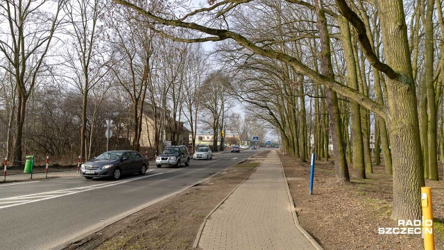 Podpisy pod petycją w sprawie wycinki drzew na ulicy Modrej i Koralowej w Szczecinie zbiera szczeciński społecznik.