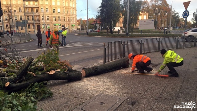 Wycinką kilkudziesięcioletniego klonu rosnącego dotychczas w al. Wojska Polskiego (przy pl. Szarych Szeregów) utrudniła nieco w sobotni poranek przejazd w tym rejonie miasta. Później rozpoczęto wycinkę kolejnych drzew w alei.