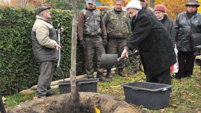 W południe na Cmentarzu Centralnym w Szczecinie posadzone zostało kolejne Drzewko Pamięci. W tym roku dąb uhonoruje Marię Antoninę Boniecką.