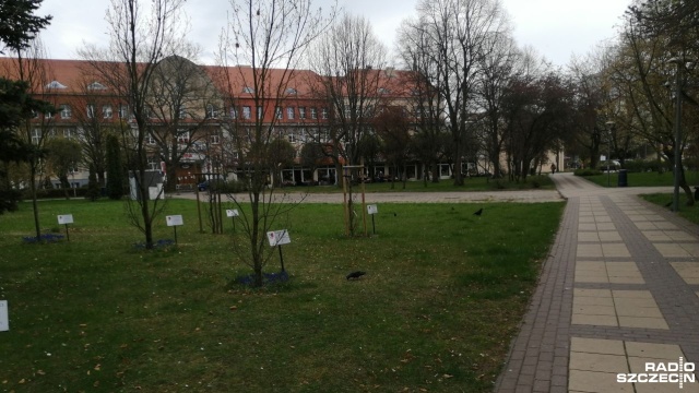 Nie dla obelisku katyńskiego w centrum Kołobrzegu