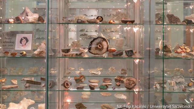 Kolekcja ponad 300 minerałów z całego świata została przekazana przez męża nieżyjącej kolekcjonerki do zbiorów Muzeum Geologicznego Uniwersytetu Szczecińskiego.
