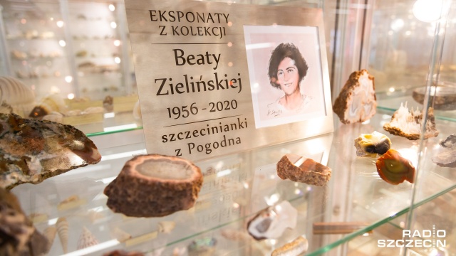 Kolekcja minerałów zmarłej Beaty Zielińskiej trafiła do Muzeum Geologicznego Uniwersytetu Szczecińskiego. Dar przekazał mąż. Beata Zielińska zbierała minerały z całego świata.