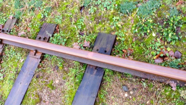 Złodzieje zdemontowali ponad 200 kilogramów stalowych elementów torów, m.in. śruby oraz 50 ważących ponad 4 kg każda podkładek pod tory.