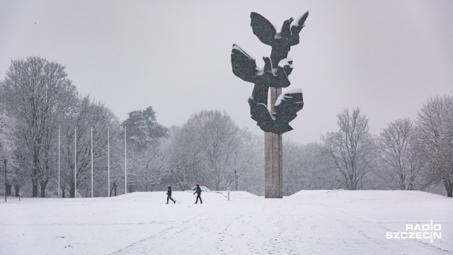 W Szczecinie od rana pada śnieg. Temperatura w okolicach zera, co nie daje widoków na dłuższe utrzymanie się białego puchu, ale niedzielny poranek wygląda prawdziwie zimowo.