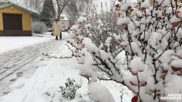 Śnieg w Świnoujściu to rzadki widok. W tym roku zima zawitała wyjątkowo wcześnie, bo grudzień przeważnie był deszczowy.