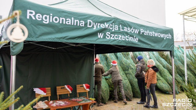 W szczecińskim Regionalnym Centrum Krwiodawstwa i Krwiolecznictwa od rana trwa - organizowana wspólnie z Lasami Państwowymi - akcja Choinka dla życia.
