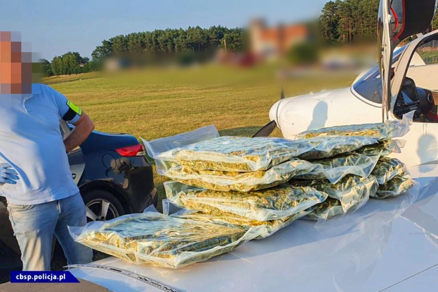 Przemycili ponad 73 kilogramy marihuany o wartości ponad 3,5 miliona złotych. Narkotyki transportowali specjalnie zakupioną awionetką z Hiszpanii do Niemiec i Polski. Na zlecenie Prokuratury Krajowej w Szczecinie zatrzymano właśnie szefa grupy przestępczej, który zorganizował siatkę przemytniczą na terenie Europy.