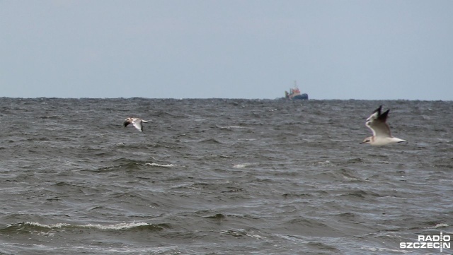 1200 marynarzy Polskiej Żeglugi Morskiej spędzi święta Bożego Narodzenia na morzach i oceanach całego świata.