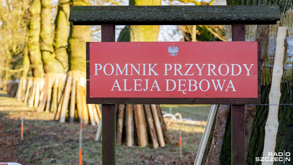 Fot. Robert Stachnik [Radio Szczecin]