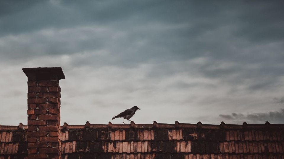 Fot. pixabay.com / SelimGecer (CC0 domena publiczna)