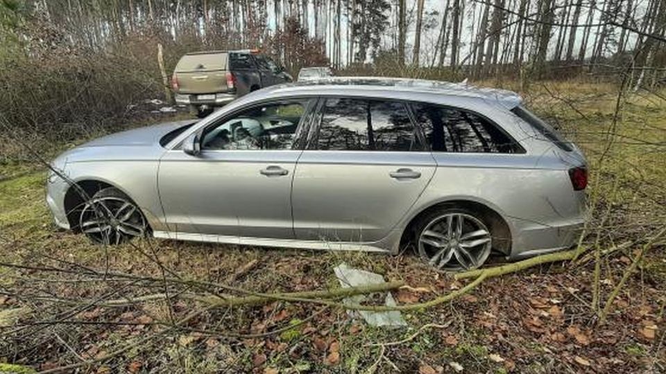 Fot. www.szczecin.lasy.gov.pl