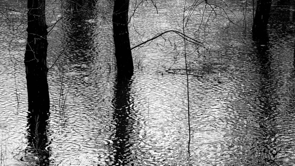 Fot. www.pixabay.com/Chraecker (domena publiczna)