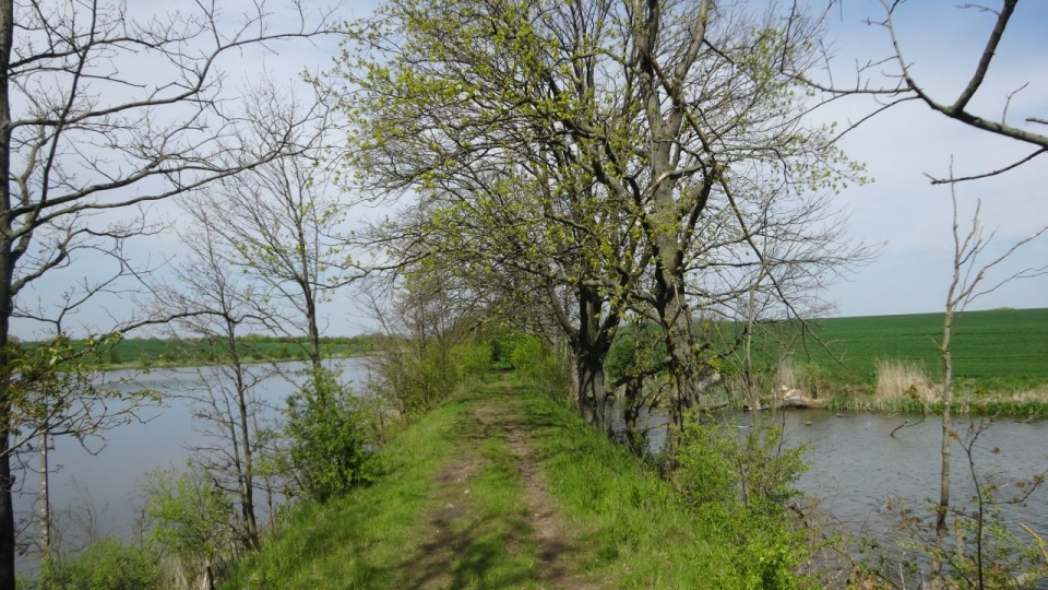Fot. Urząd Gminy Kołbaskowo