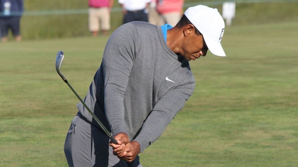 Eldrick "Tiger" Woods jest uznawany za jednego z najważniejszych przedstawicieli świata golfu. Fot. www.wikipedia.org / Peetlesnumber1
