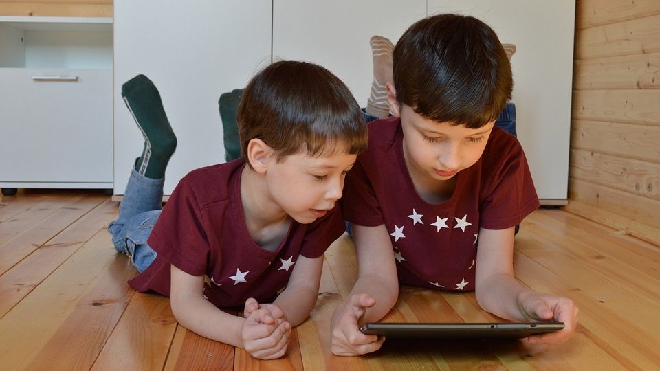 źródło: https://pixabay.com/pl/5017872/Victoria_Borodinova/CC0 - domena publiczna