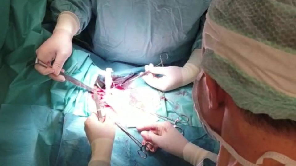 źródło: Szpital Wojewódzki w Szczecinie