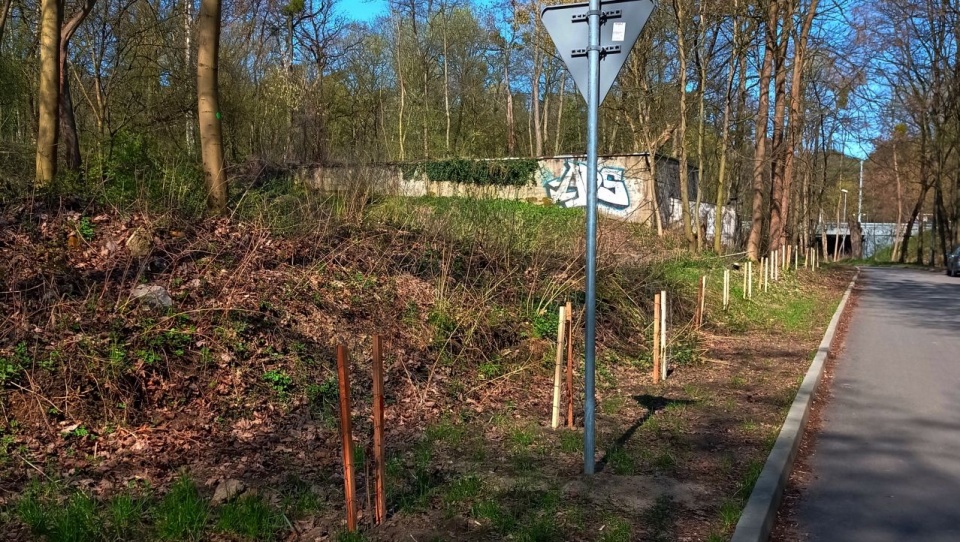 Fot. ZUK Szczecin.