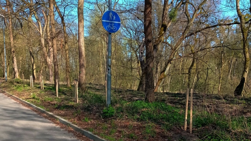 Fot. ZUK Szczecin.