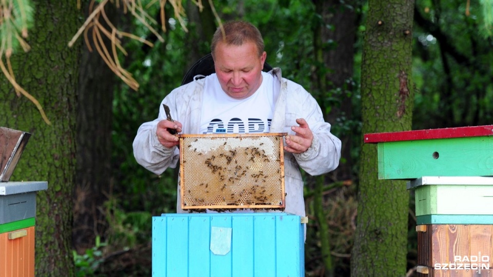 Fot. Marcin Kokolus [Radio Szczecin]