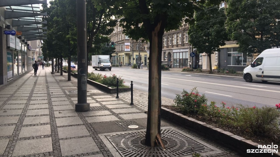 Fot. Sławomir Orlik [Radio Szczecin]