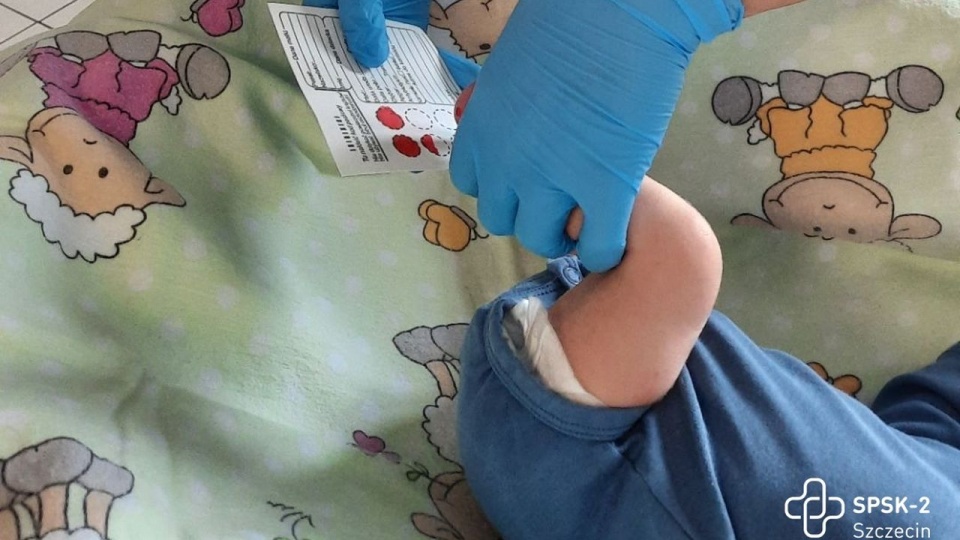 Położna pobiera krew na specjalną bibułkę – w kierunku badań m.in. na SMA, mukowiscydozę, fenyloketonurię. Fot. SPSK-2