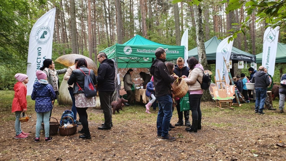 Fot. Regionalna Dyrekcja Lasów Państwowych w Szczecinie