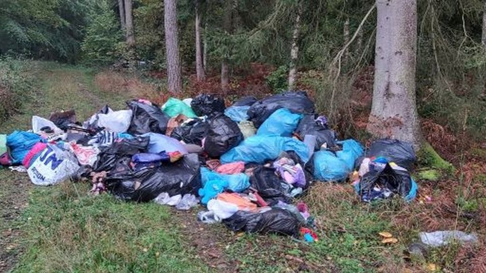 Fot. Nielegalne wysypisko w lesie/Nadleśnictwo Dobrzany