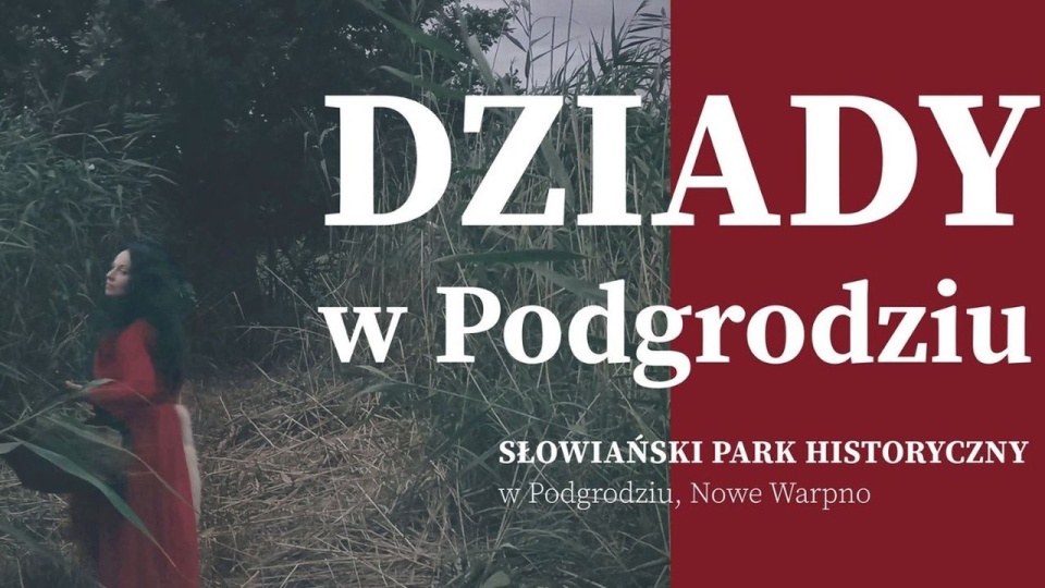Materiały organizatora