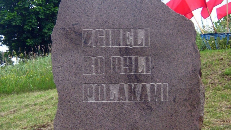 Fot. www.wikipedia.org / Radosław Drożdżewski (Zwiadowca21) (CC BY-SA 3.0)