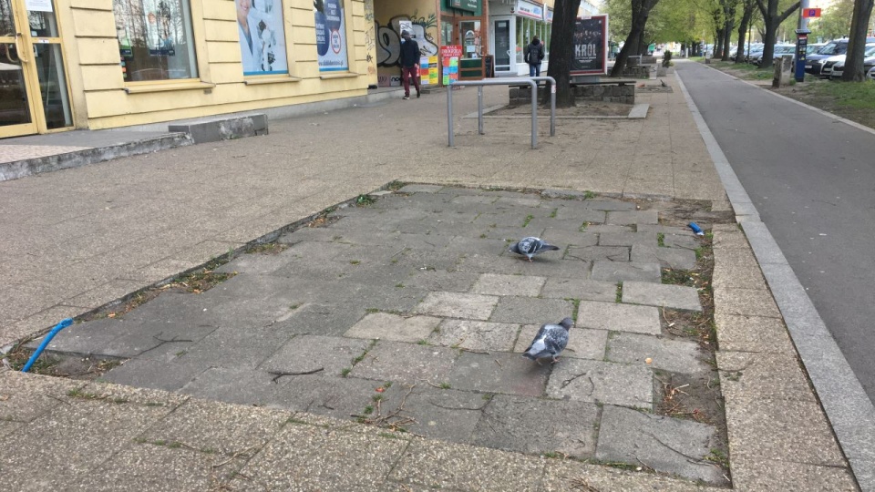 Fot. Sławomir Orlik [Radio Szczecin]