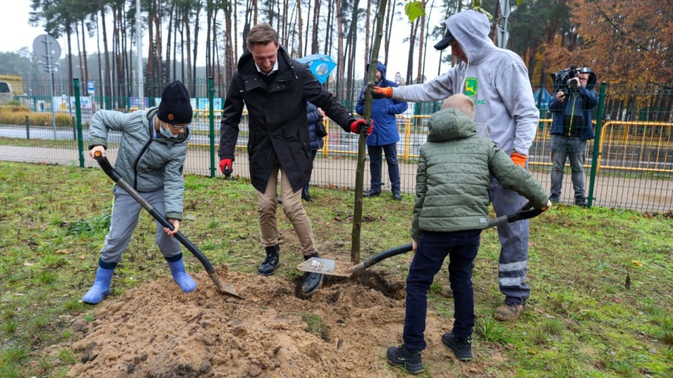 Nasadzenia pojawiły się właśnie w Goleniowie na terenie szkoły podstawowej i na Plantach. źródło: Urząd Marszałkowski Województwa Zachodniopomorskiego