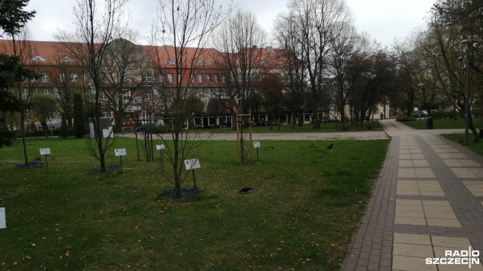 Tu miał stanąć katyński obelisk. Fot. Przemysław Polanin [Radio Szczecin]