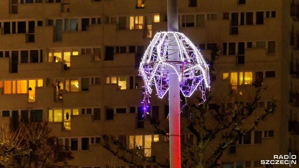 Fot. Robert Stachnik [Radio Szczecin]