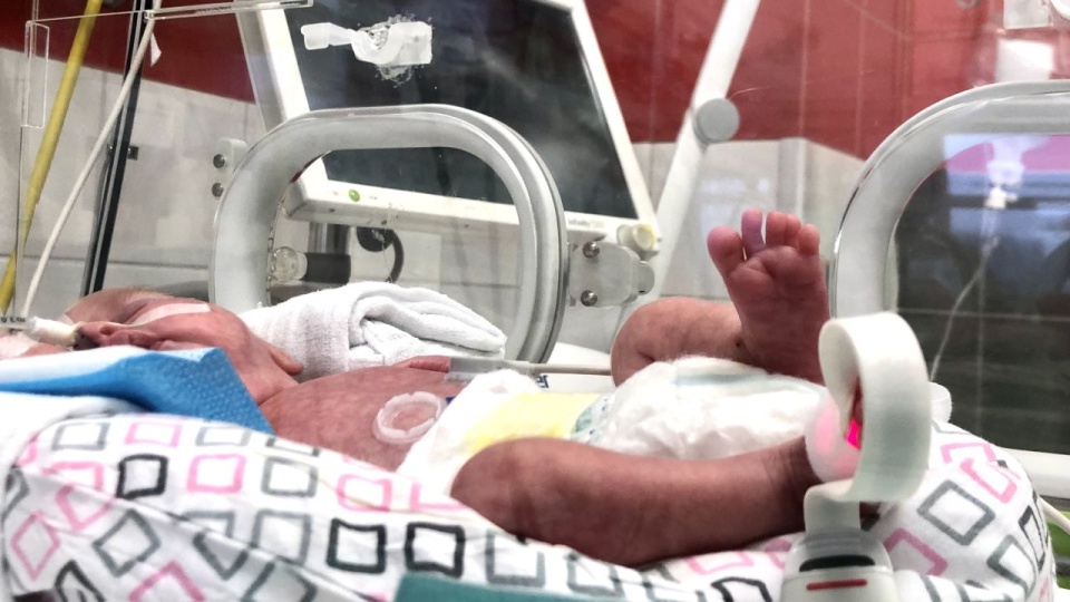 źródło: szpital Zdroje w Szczecinie