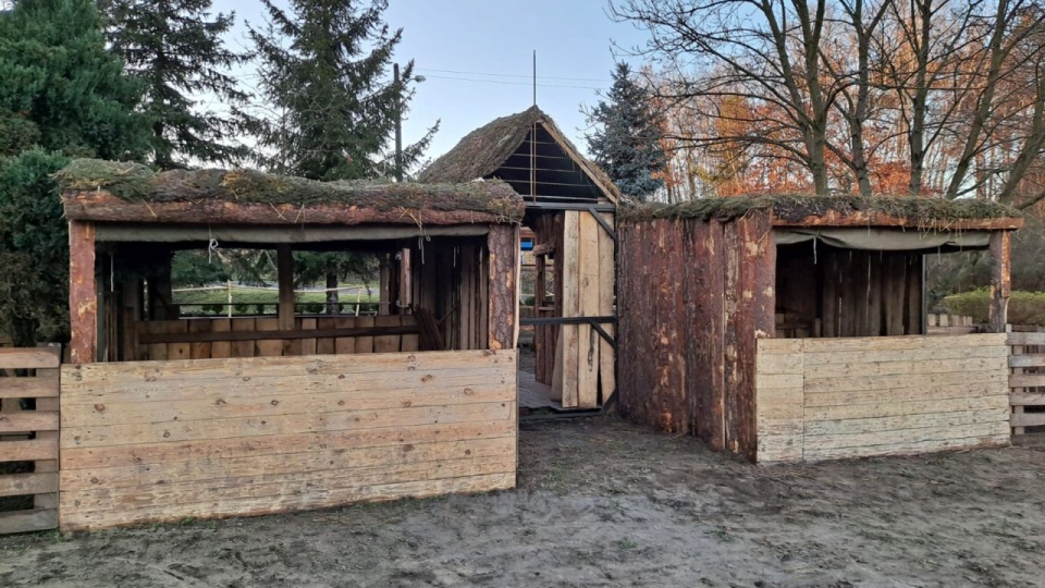 Podczas tegorocznych świąt do Szczecina zawitają dwie żywe szopki. Oprócz tej w Żydowcach zwierzęta odwiedzić będzie można także w kościele pw. św. Ottona przy ul. Zawadzkiego. Fot. Parafia Niepokalanego Poczęcia NMP w Szczecinie