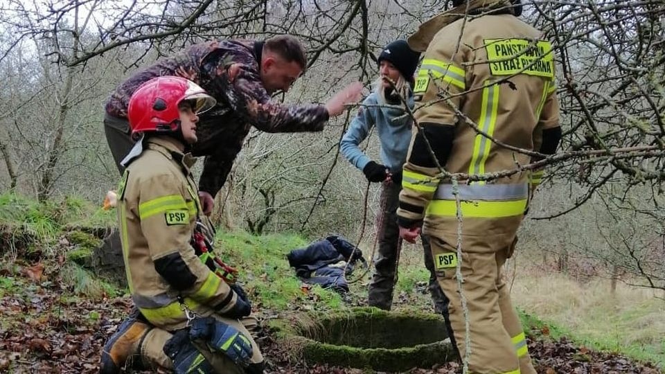 Jeżeli ktoś ma informacje na temat suczki i jej właściciela lub szuka czworonoga proszony jest o kontakt z TOZ w Goleniowie - tel. 691443921. źródło: https://www.facebook.com/TOZGoleniow