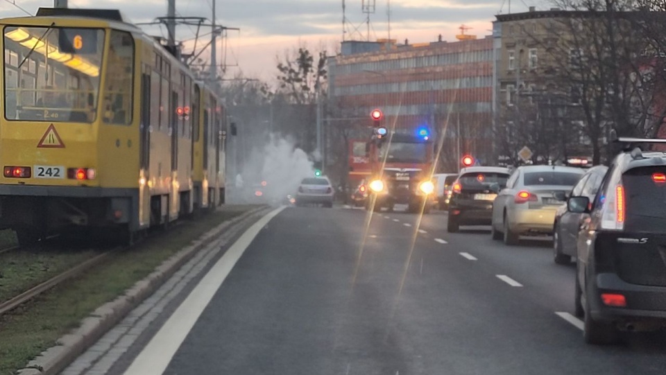 Fot. Facebook Grupa Suszą! Szczecin