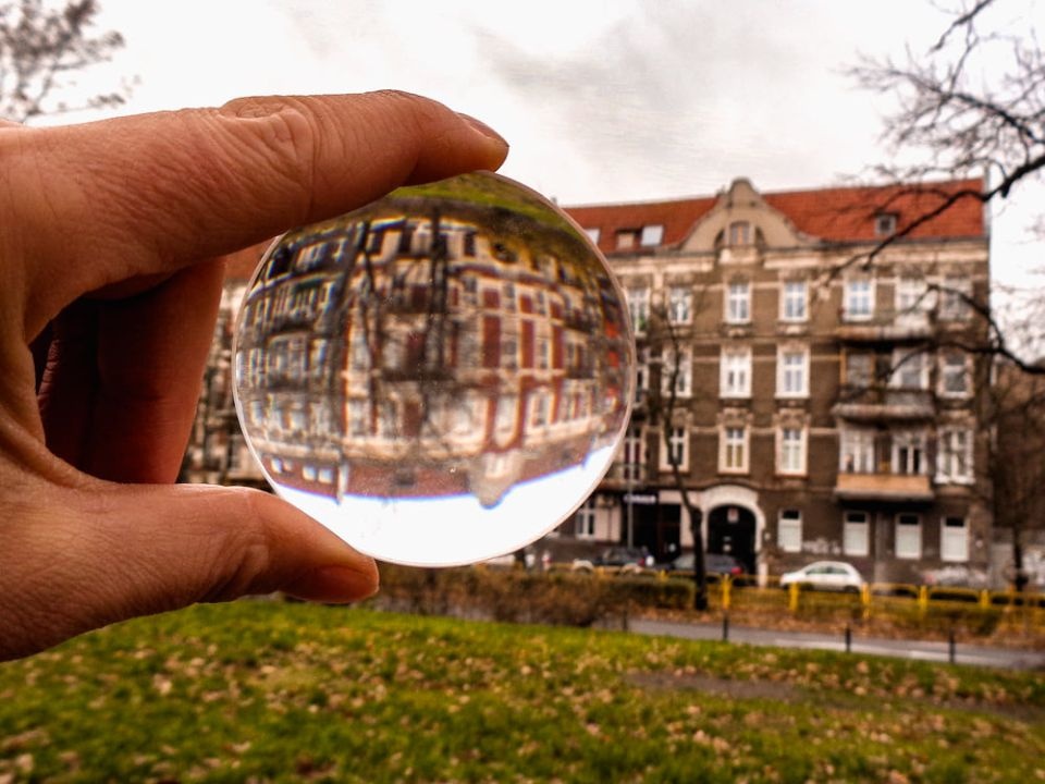 Fot. www.facebook.com/Stowarzyszenie-Feniks-Szczecin
