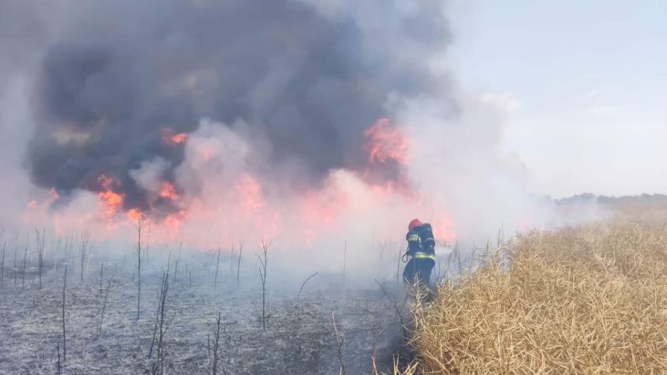 Polacy pomagają gasić pożary w Czechach