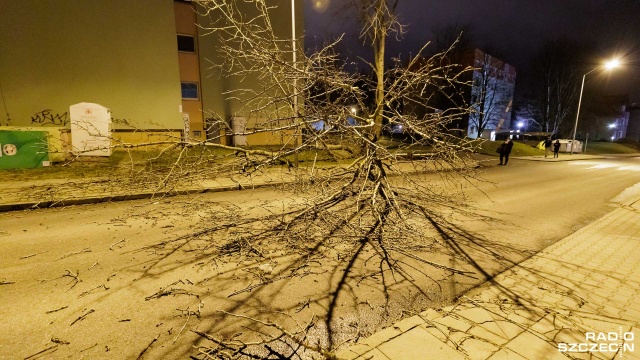 Fot. Robert Stachnik [Radio Szczecin] Wiało ponad 100 km/h. Powalone drzewa, opóźnione pociągi [AKTUALIZACJA, WIDEO, ZDJĘCIA]