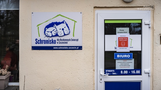 Fot. Mateusz Papke [Radio Szczecin] "Są bardzo inteligentne" i dziś jest ich dzień [WIDEO, ZDJĘCIA]