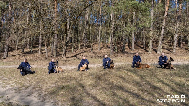 Fot. Robert Stachnik [Radio Szczecin] Przewodnicy policyjnych psów poszukiwani [WIDEO, ZDJĘCIA]